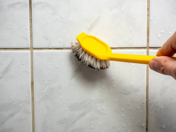 Best Mold Cleaning Services  in Sturgis, SD