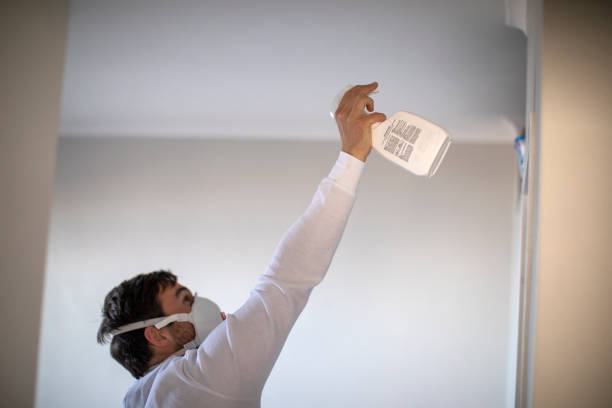 Best Mold Damage Repair  in Sturgis, SD