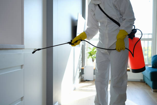 Office Mold Removal Services in Sturgis, SD