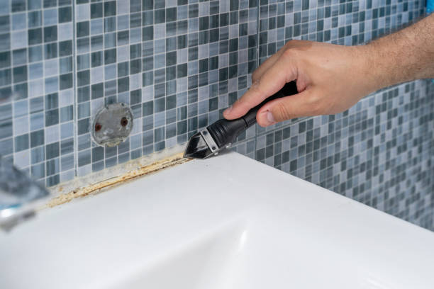 Best Professional Mold Removal  in Sturgis, SD
